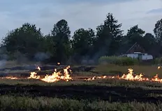 Кола пламна в движение край Ново село заради техническа повредаЕкипи
