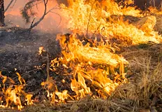 Огънят доближава околовръстния път на градаШест екипа на пожарната се