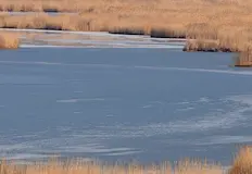 Продължителните жеги и сушата застрашават корабоплаването по рекатаЗападна и Централна