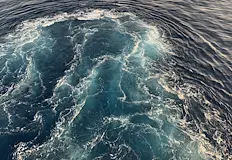 Учени предупреждават за необратими последици за водните екосистемиБързата загуба на