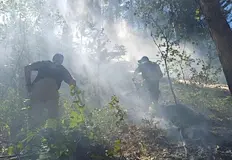 Огънят бушува в труднодостъпен терен при силен вятърГорски пожар предизвикан