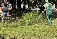 Къде ще косят служителите на общинските предприятия тази седмицаОбщинското предприятие