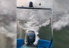Уловът е предаден на социалната услуга Защитено жилище за лица