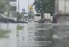 Запушени шахти усложниха обстановката в крайдунавския градСилна буря връхлетя Лом