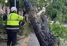 Столична община отстранява щетите няма данни за пострадалиЕкипи на Столична