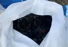 Инспекторите на ИАРА върнаха морските дарове обратно във водатаИнспектори от