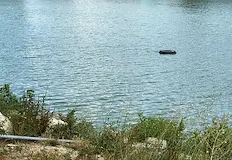 Ниското водно ниво и жегите застрашават рибатаОбщина Русе предприема спешни