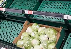 Липсата на дъжд унищожава британската селскостопанска реколтаБританските супермаркети са изправени