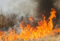 Огнеборци гасиха мащабен пожар в местността Каяджика Пожар е унищожил