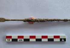 Античният литулкос е използван за сложни урологични операцииАрхеологическият екип на