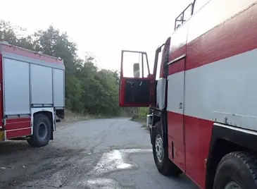 300 прасета загинаха при пожар  в свинекомплекс "Голямо Враново"
