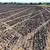 Напояването у нас се е сринало тройно Напояването у нас се е сринало тройно