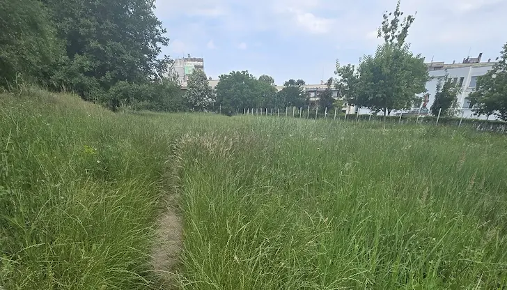 Недостатъчна поддръжка на тревните площи в Русе
