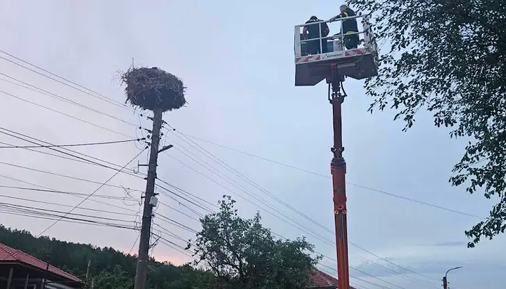 Спасителна акция спаси щъркелче в Николово след буря