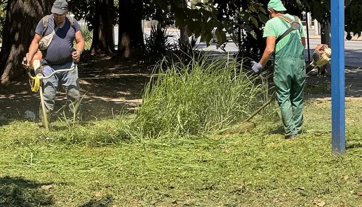 Планирани дейности по косене на трева в Русе