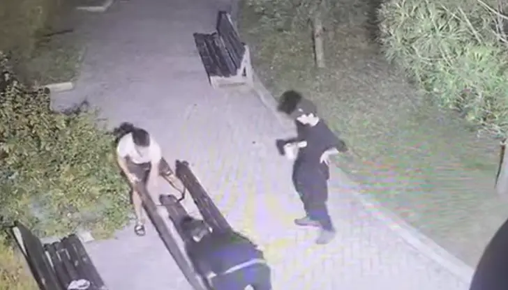 Вандализмът в Борисовата градинка е заснет от камери