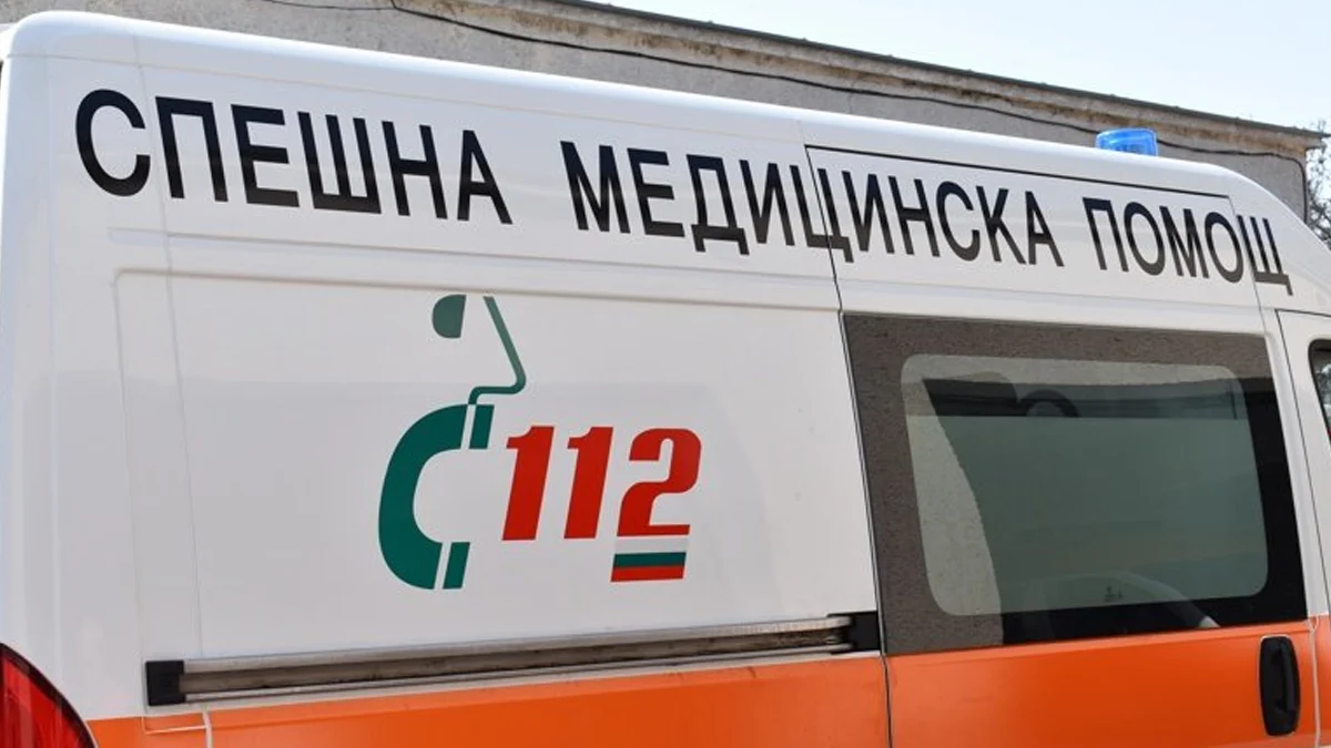 Ранената жена е транспортирана в болница в СофияДве домашни кучета