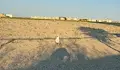 Откриха останки от боен дрон край плаж в Констанца