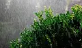 Краткотрайни бури с градушки връхлитат части от България