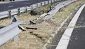 Мантинелите на АМ „Марица” не могат да спрат и лек автомобил