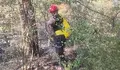 Силен вятър разпали голям пожар в Ново село