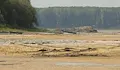 Кризисен щаб спасява резервата "Сребърна" от пресъхване