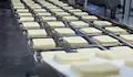 БАБХ спипа над един тон млечни продукти с изтекъл срок на годност