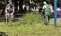 Продължава косенето на тревните площи в Русе
