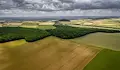 Съдят четирима от Малорад за имотна измама пред нотариус