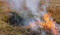 Видео в социалните мрежи издаде подпалвач в Чирпан