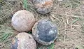 Обезвредиха четири артилерийски снаряда, намерени в Дунав