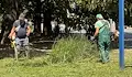 Продължава поддръжката на зелените площи в Русе