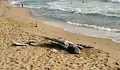 Морето изхвърли дрон на плаж "Кабакум" край Варна