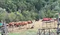 Съдът отложи делото срещу фермера, нападнал журналисти в село Стефаново