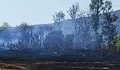 Задържаха двама мъже за пожара край Медвен