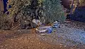 Порои и свлачище взеха жертви в Испания