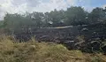 Потушиха пожар край село Стърмен