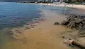 Фекални води се изляха в морето край Свети Влас