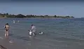 Бактерия в Черно море ни атакува, ако влизаме във водата с рани
