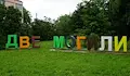 Обновяват дърветата по булевард „България“ в Две могили