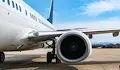 Откриха останки от птица в двигателя на авариралия самолет на Ryanair