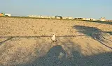 Откриха останки от боен дрон край плаж в Констанца
