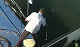 Маловодието край Козлодуй спря курсовете на кораба „Радецки“