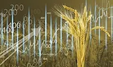 БРИКС пуска собствена зърнена борса за трилион долара