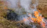 Видео в социалните мрежи издаде подпалвач в Чирпан