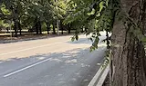Затварят две от лентите за движение по булевард „Съединение“