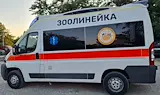 Първата зоолинейка в България започва безплатно спасяване на животни