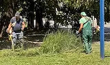 Продължава поддръжката на зелените площи в Русе