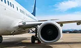 Откриха останки от птица в двигателя на авариралия самолет на Ryanair
