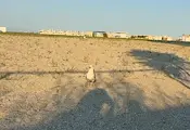 Откриха останки от боен дрон край плаж в Констанца